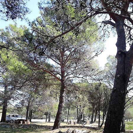 Eco Secluded Apartments Zabodarski Čunski Eksteriør bilde