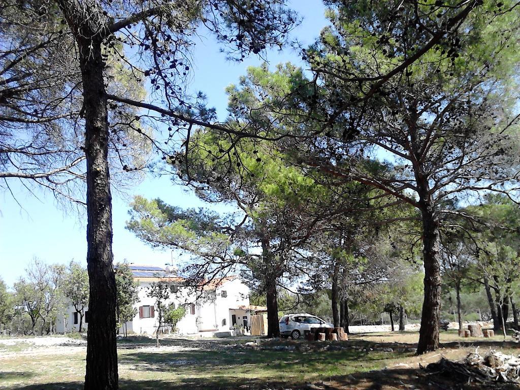 Eco Secluded Apartments Zabodarski Čunski Eksteriør bilde