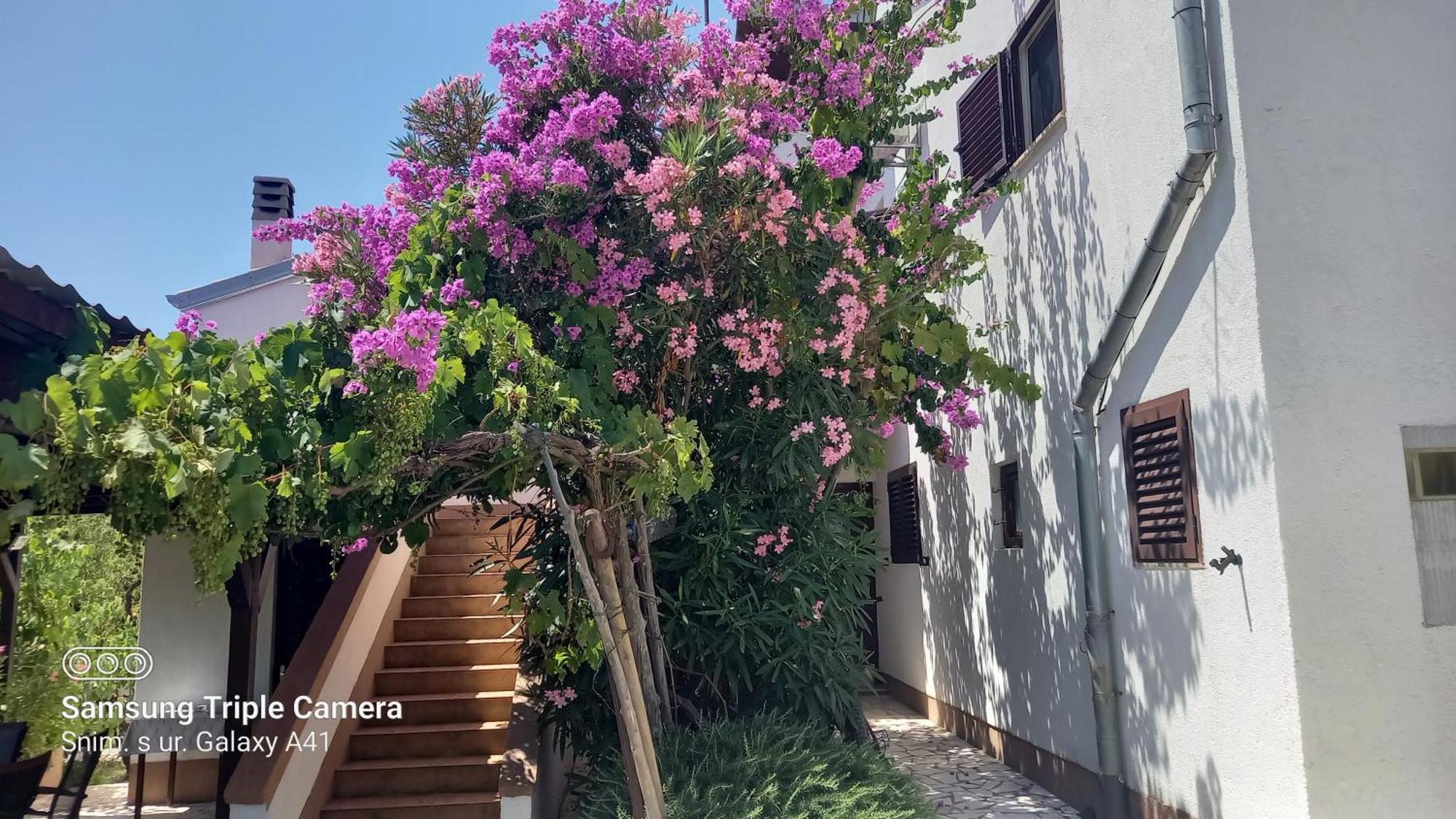 Eco Secluded Apartments Zabodarski Čunski Eksteriør bilde