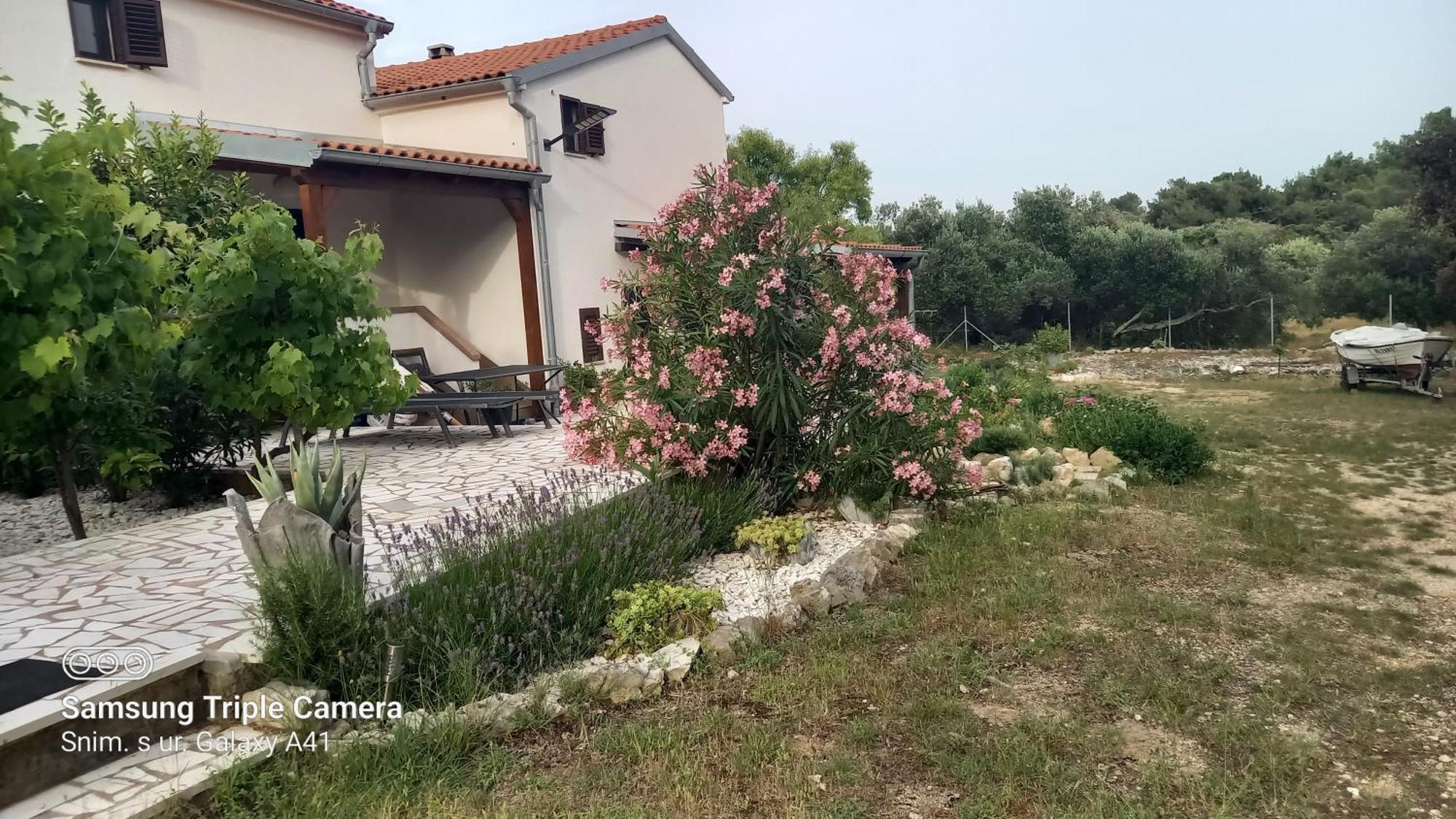 Eco Secluded Apartments Zabodarski Čunski Eksteriør bilde
