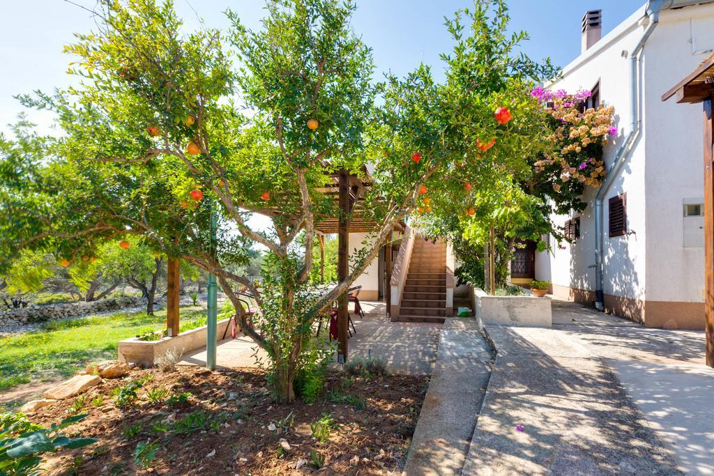 Eco Secluded Apartments Zabodarski Čunski Eksteriør bilde
